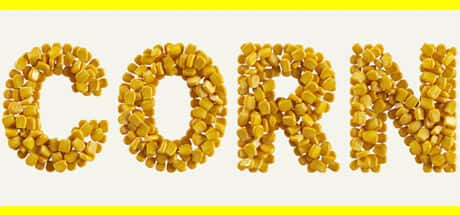 CORN header image