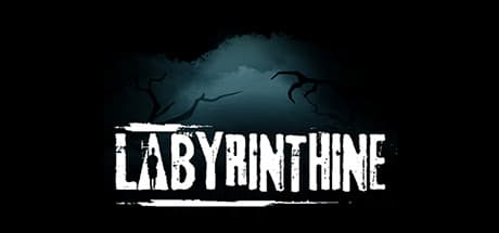 Labyrinthine Steam header image