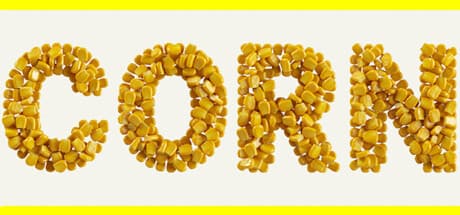 CORN Steam header image